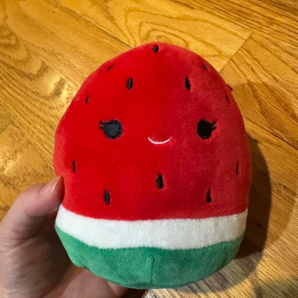 Small Squishmallows Watermelon Plush